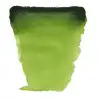 VAN GOGH SULUBOYA YEDEK SAP GREEN