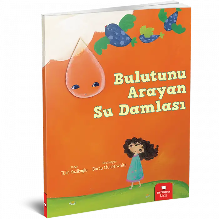 Bulutunu Arayan Su Damlası