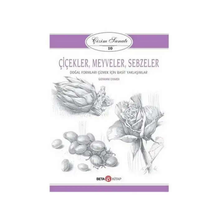 ÇİZİM SANATI 10 ÇİÇEKLER MEYVELER VE SEBZELER