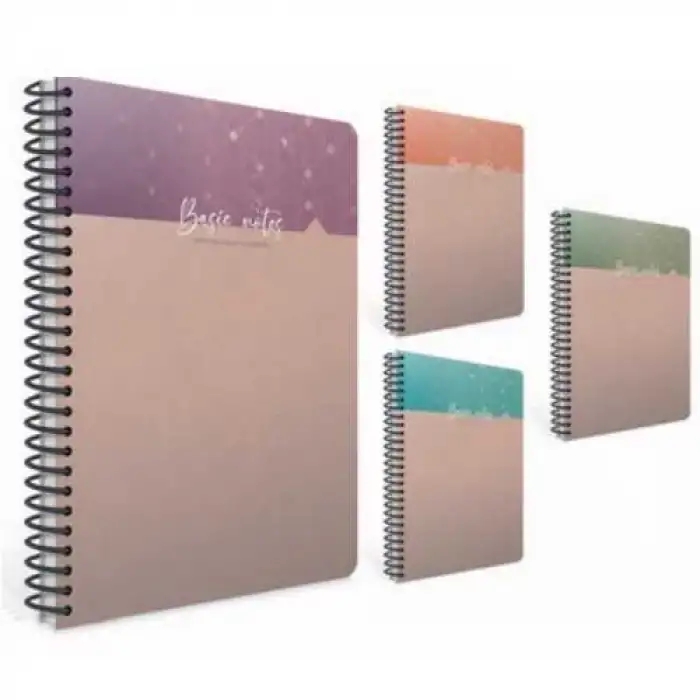 GIPTA DEFTER BASIC NOTES A5 100YP KARE SPR