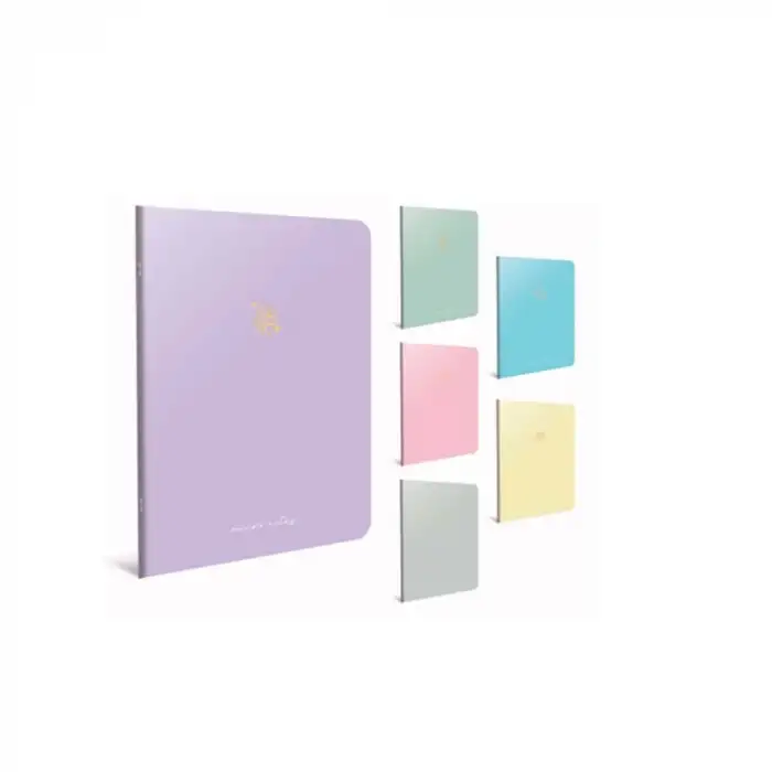 GIPTA DEFTER MICRO İP.DKŞ KRT.KPK 13X21 60YP ÇZGSZ