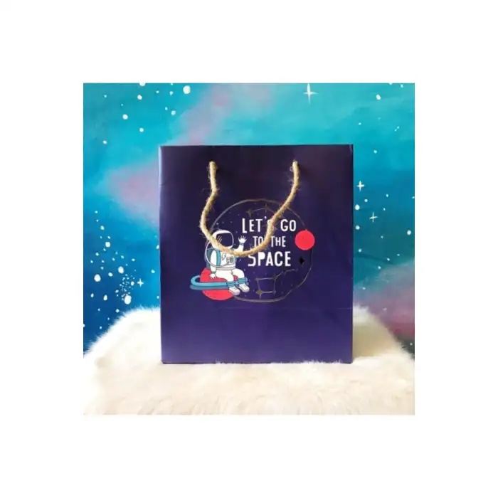 Gipta Space B4 Karton Çanta
