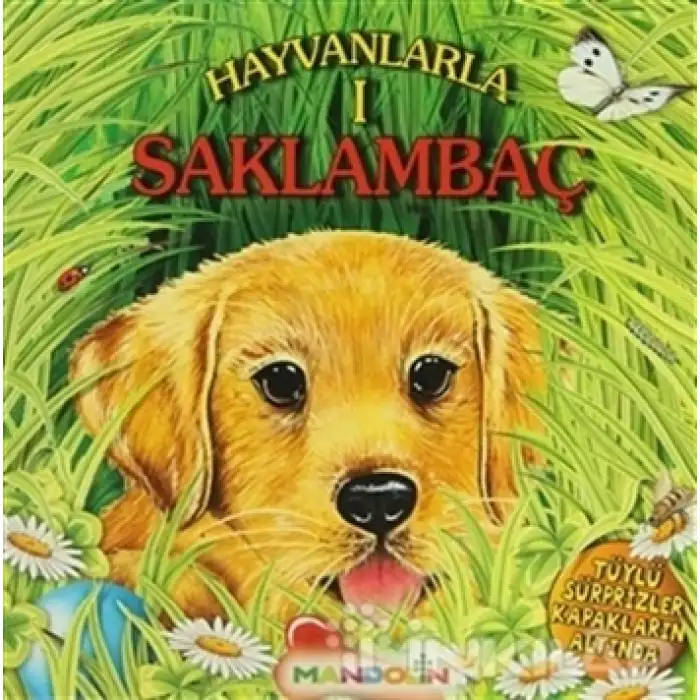 İlköğretim Yazarları ve Şairler Sözlüğü