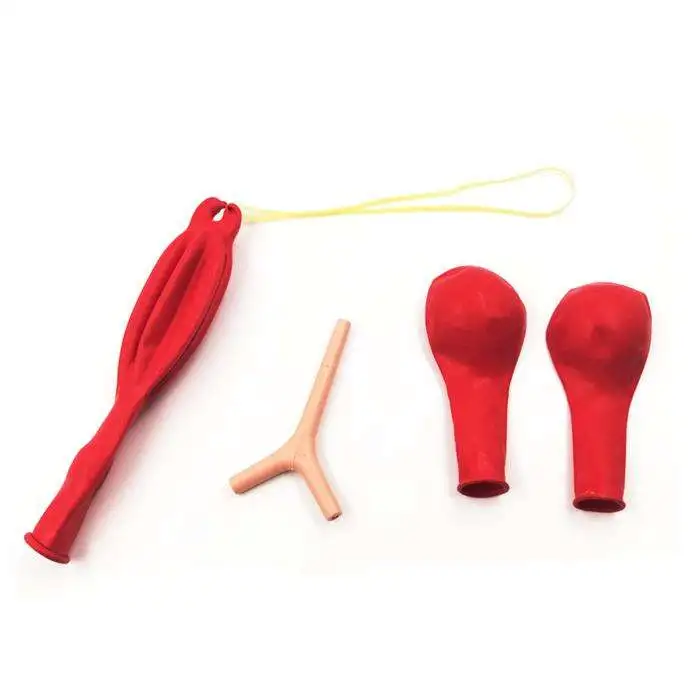 KAR AKCİĞER MODEL SETİ