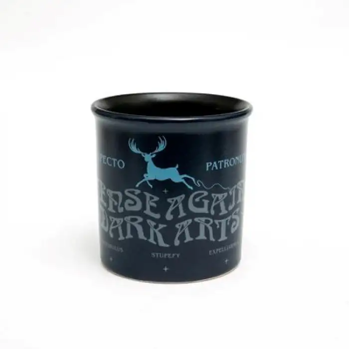 MACMUG 380825 HARRY POTTER AMSTERDAM MUG DEFENCE AGAINTS DARK ARTS SERAMİK KUPA