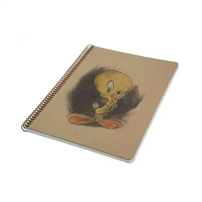 UMUR LOONEY TUNES KRAFT DEFTER A4 100 YP.KARELİ