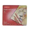 DERWENT PASTEL KALEM 24LÜ TENEKE KUTU