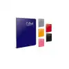 GIPTA DEFTER C BOOK A4 TEL DİKİŞ PP KAPAK 100 YP. ÇİZGİLİ 6906