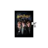 KESKİN HATIRA 14x20 80YP KİLİTLİ HARRY POTTER