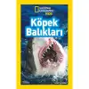 Köpek Balıkları National Geographic Kids