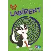 Labirent 5 6 Yaş