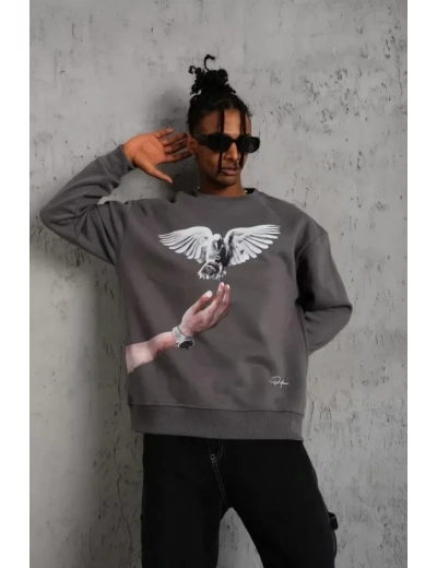 Erkek Güvercin Baskılı Sweatshirt - Gri
