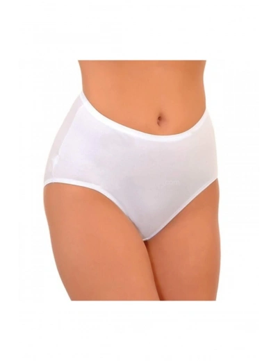 Imer 122 Kadın Modal Süprem Külot