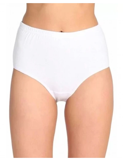 Star 4021 Kadın Modal İz Yapmaz Bato Külot