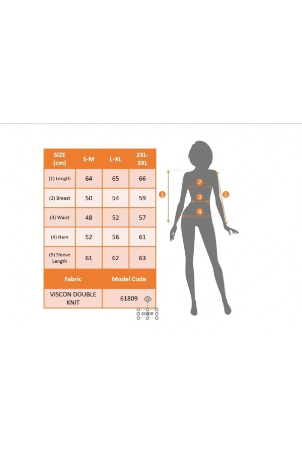 Kadın Uzun Kollu V Yakalı Viskon Mürdüm Bluz