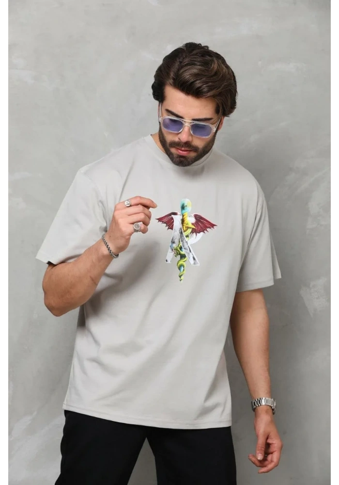 Erkek Baskılı T-Shirt Kısa Kol Bisiklet Yaka Regular Fit Rahat Kalıp Tişört -  Gri