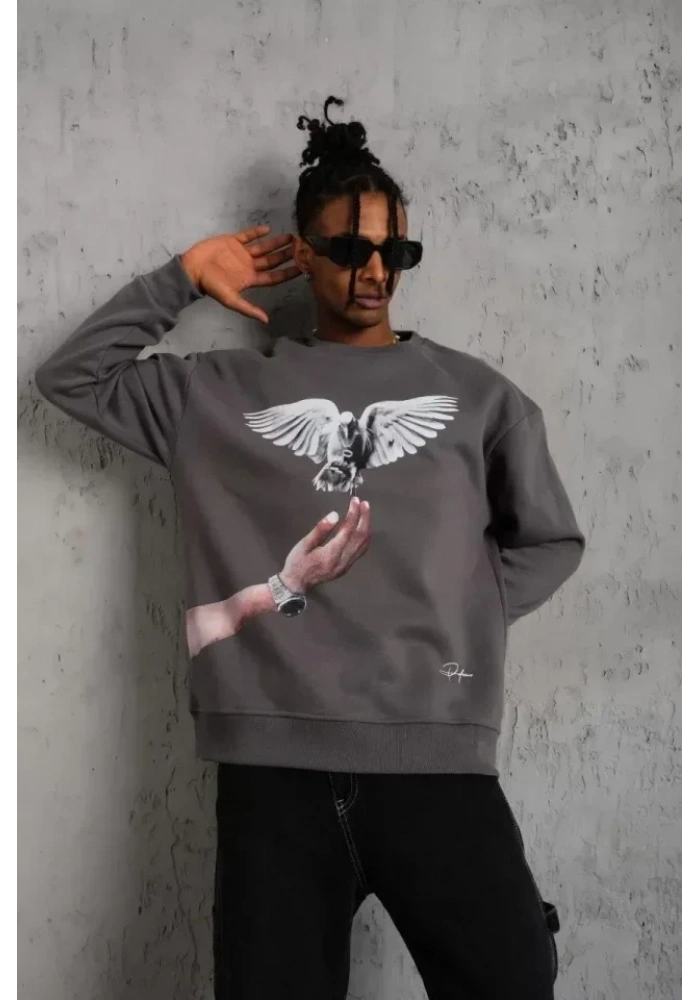 Erkek Güvercin Baskılı Sweatshirt - Gri