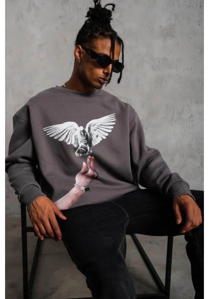 Erkek Güvercin Baskılı Sweatshirt - Gri