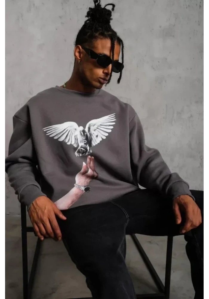 Erkek Güvercin Baskılı Sweatshirt - Gri