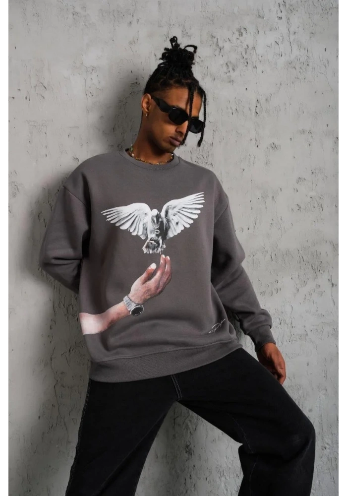 Erkek Güvercin Baskılı Sweatshirt - Gri