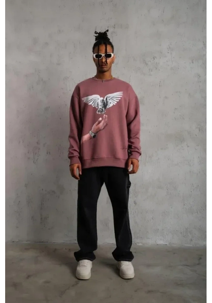 Erkek Güvercin Baskılı Sweatshirt - Gül Kurusu