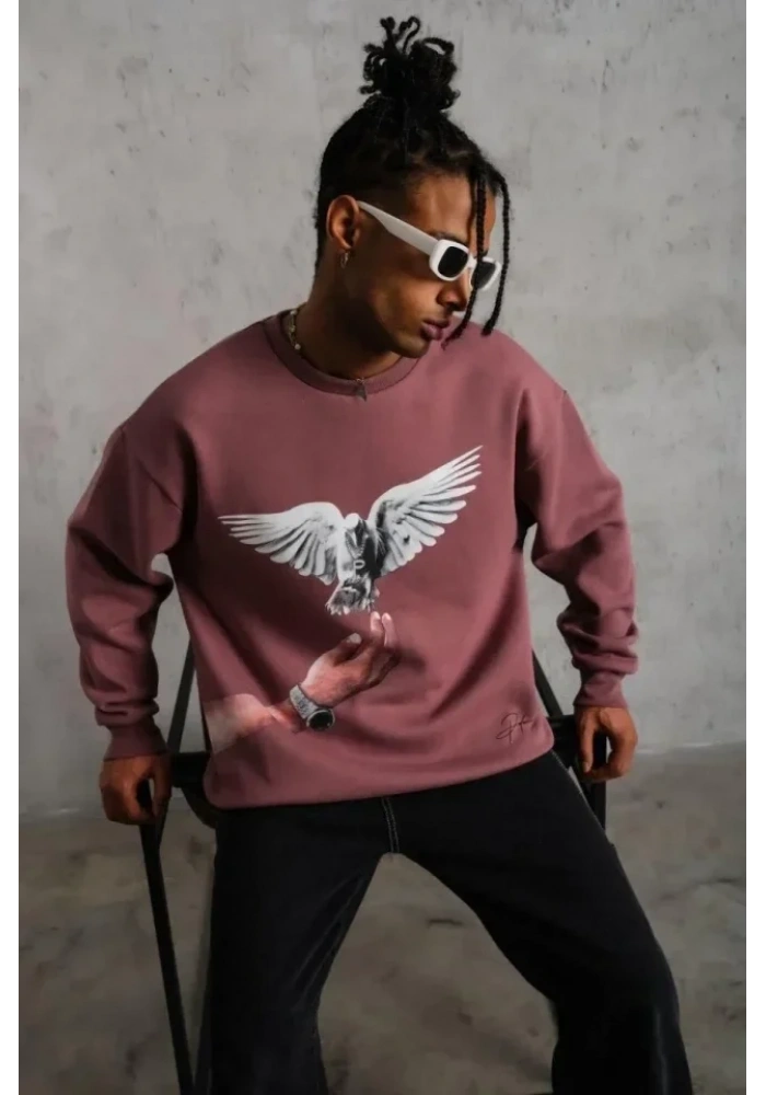 Erkek Güvercin Baskılı Sweatshirt - Gül Kurusu