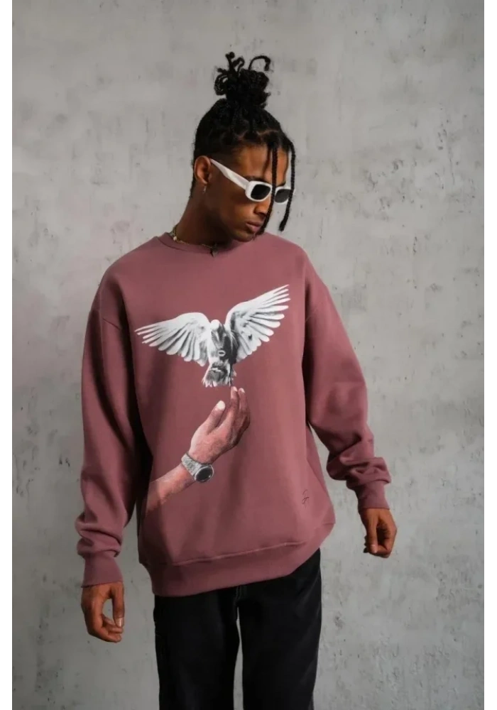 Erkek Güvercin Baskılı Sweatshirt - Gül Kurusu