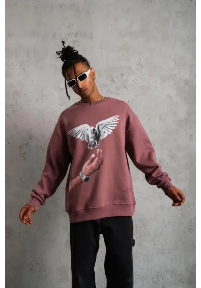 Erkek Güvercin Baskılı Sweatshirt - Gül Kurusu