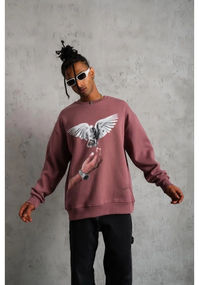 Erkek Güvercin Baskılı Bisiklet Yaka Sweatshirt 3 iplik pamuklu - Gül Kurusu
