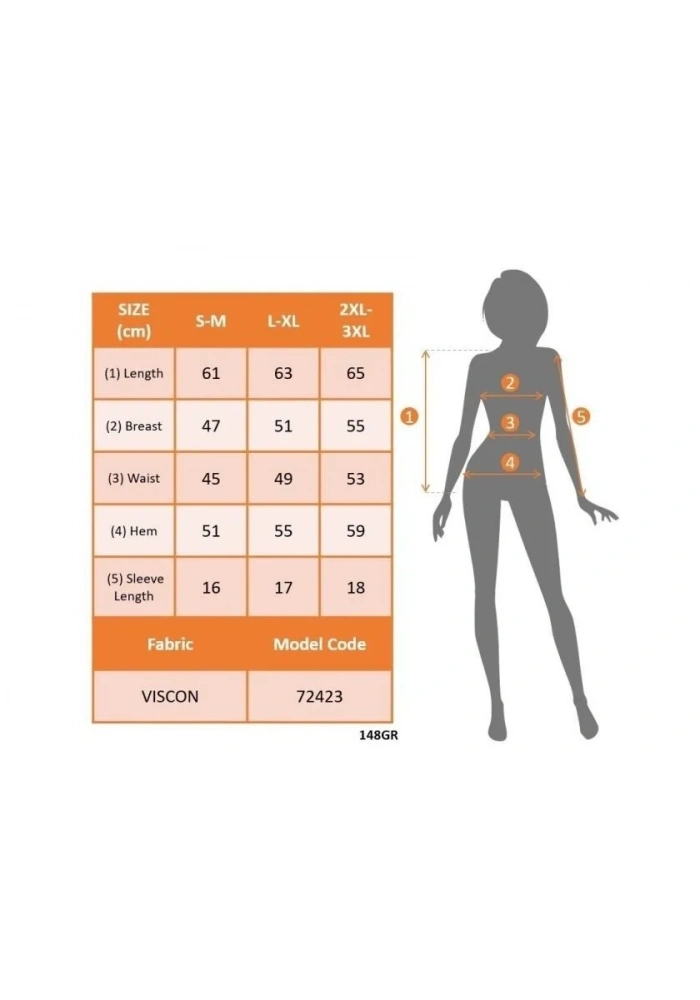Kadın Kısa Kollu V Yakalı Dantelli Viskon Bluz