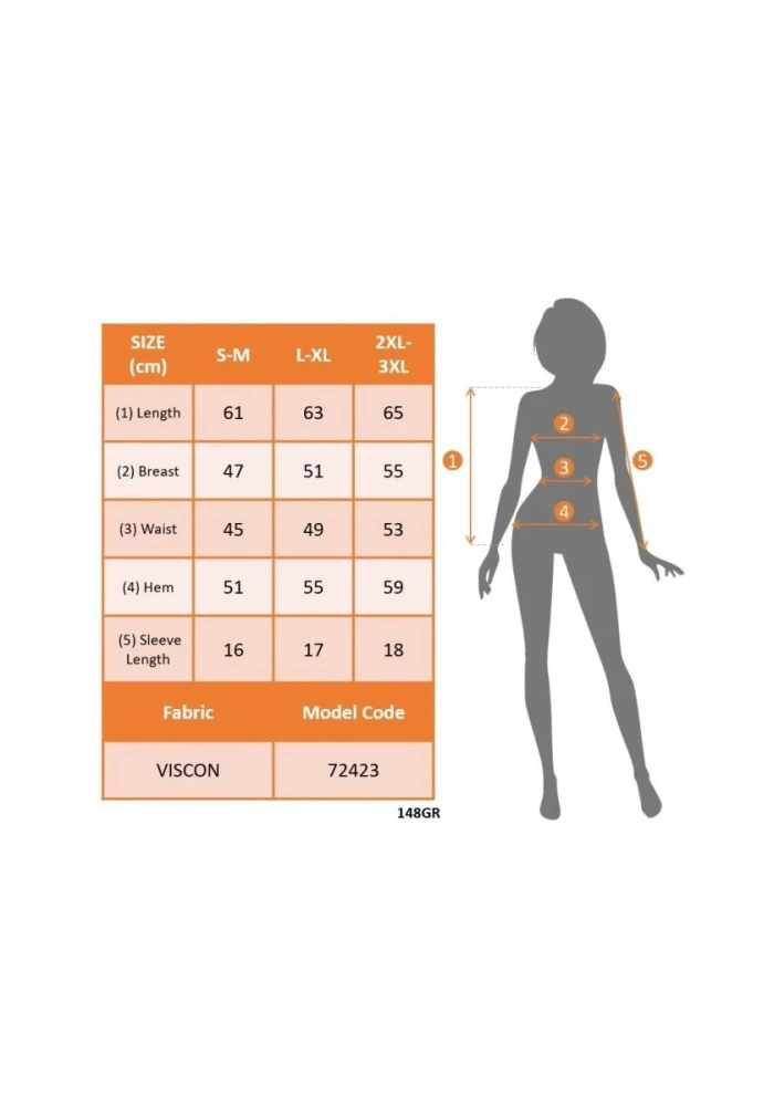 Kadın Kısa Kollu V Yakalı Dantelli Viskon Bluz