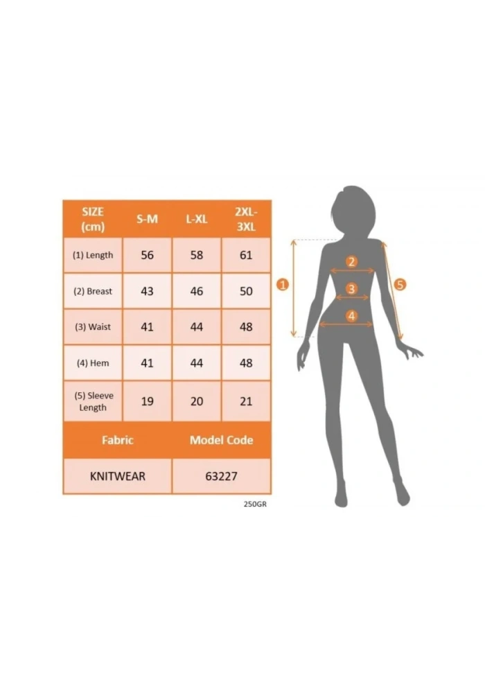 Kadın Kısa Kollu V Yakalı Düğmeli Triko Bluz
