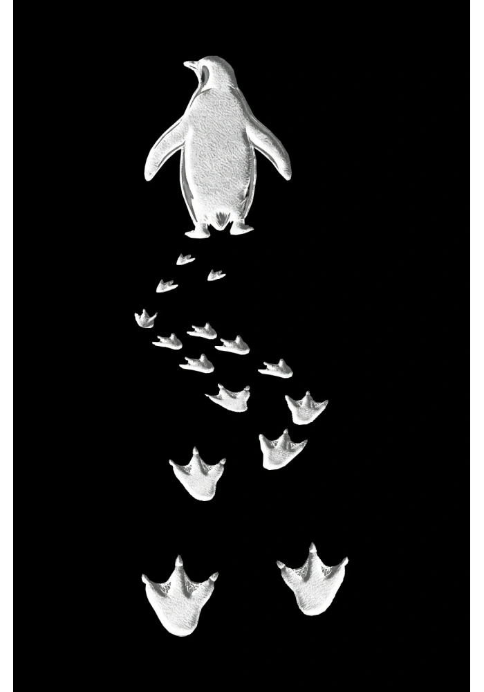 Kadın T-Shirt Penguen Baskılı Bisiklet Yaka Kısa kol yazlık Tişört - Siyah