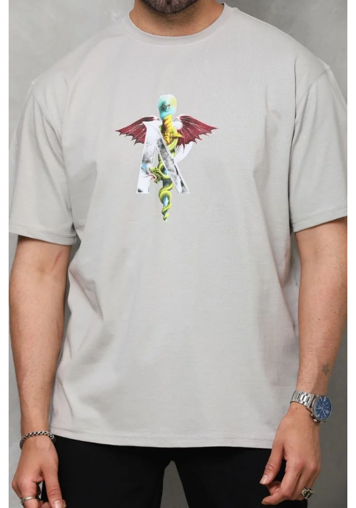 Erkek Bisiklet Yaka Baskılı T-Shirt - Gri