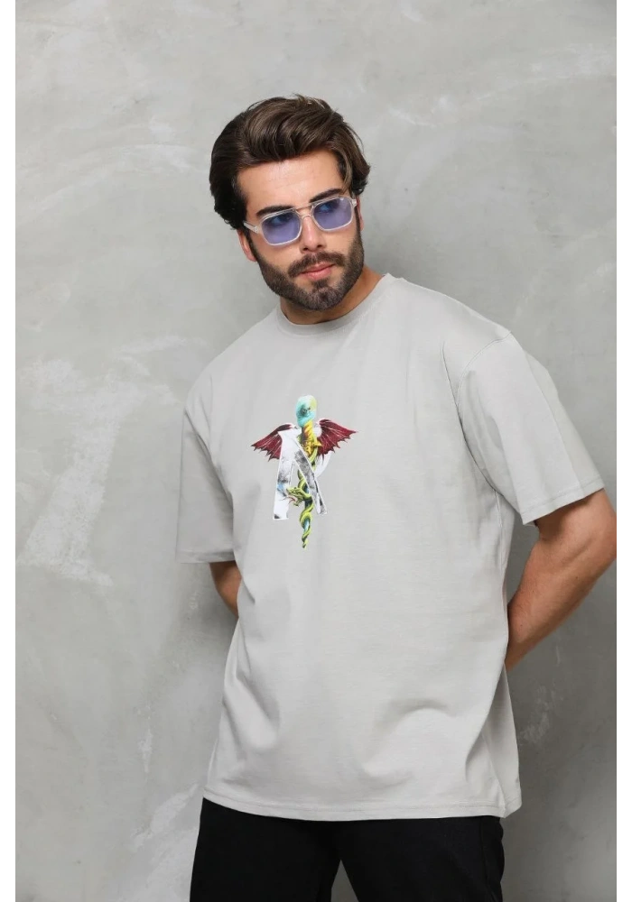 Erkek Bisiklet Yaka Baskılı T-Shirt - Gri