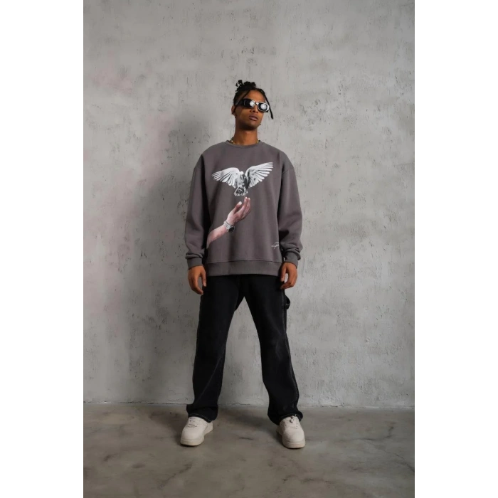 Erkek Güvercin Baskılı Sweatshirt - Gri
