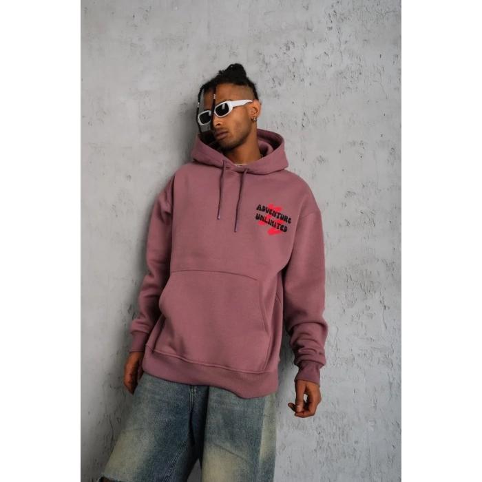 Erkek Şapkalı Güvercin Baskılı Kapşonlu Sweat - Gül Kurusu