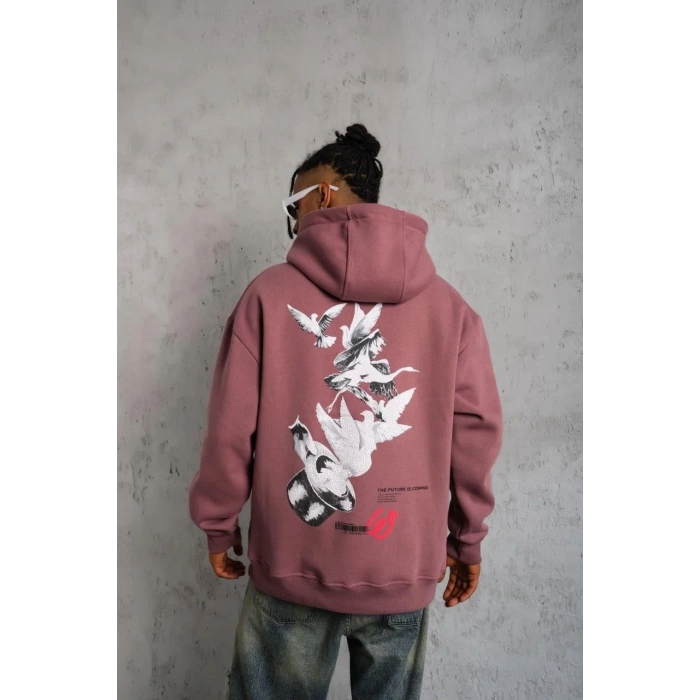 Erkek Şapkalı Güvercin Baskılı Kapşonlu Sweat - Gül Kurusu