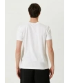 ERKEK  Tişört Basic Bisiklet Yaka Regular Kısa kol T-Shirt - Beyaz