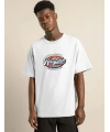 Erkek Baskılı T-Shirt Kısa Kol Bisiklet Yaka Regular Fit Rahat Kalıp Günlük Tişört - Beyaz
