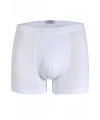 Star 103 Erkek  Modal Boxer