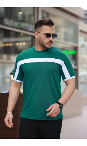 Erkek şerit Detaylı Kısa Kollu T-shirt