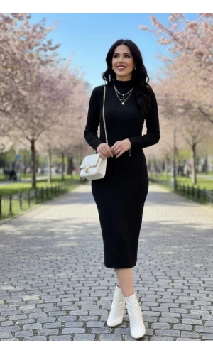 Kadın Uzun Kollu Balıkçı Yaka Triko Elbise