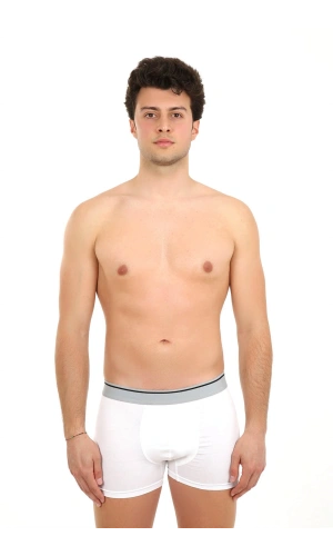 Moda Çizgi Erkek Likralı Boxer 40056