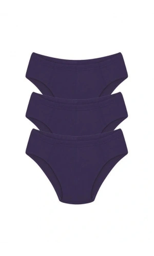 Moda Çizgi Erkek Pamuk 3lü Saks Slip 40129