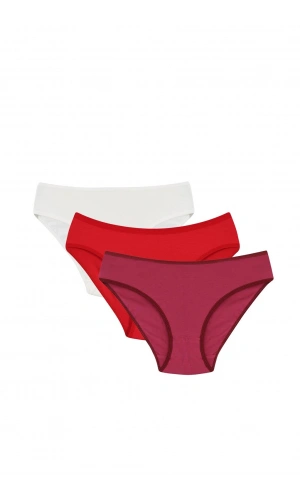 Moda Çizgi Kadın 3lü Külot 40248