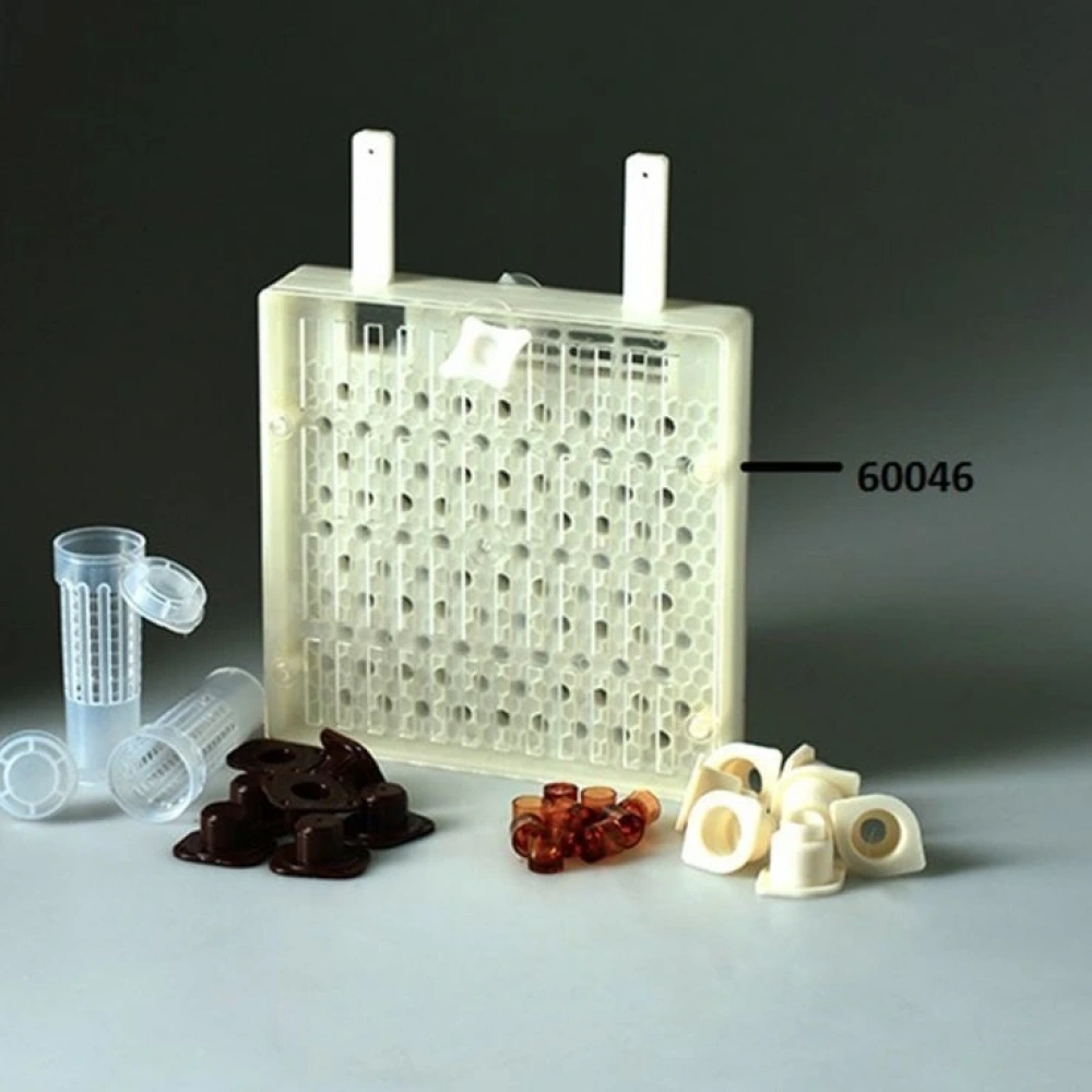 60046 Ana arı üretim seti yumurtlama kutusu