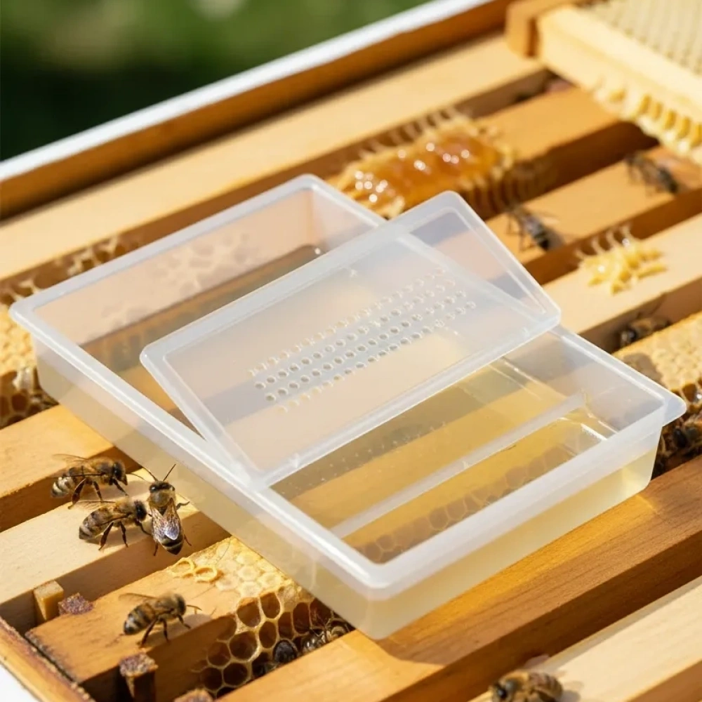 30022B PLASTiK KUTU YEMLİK (190mm x 260 mm x 40 mm) (ŞEFFAF)