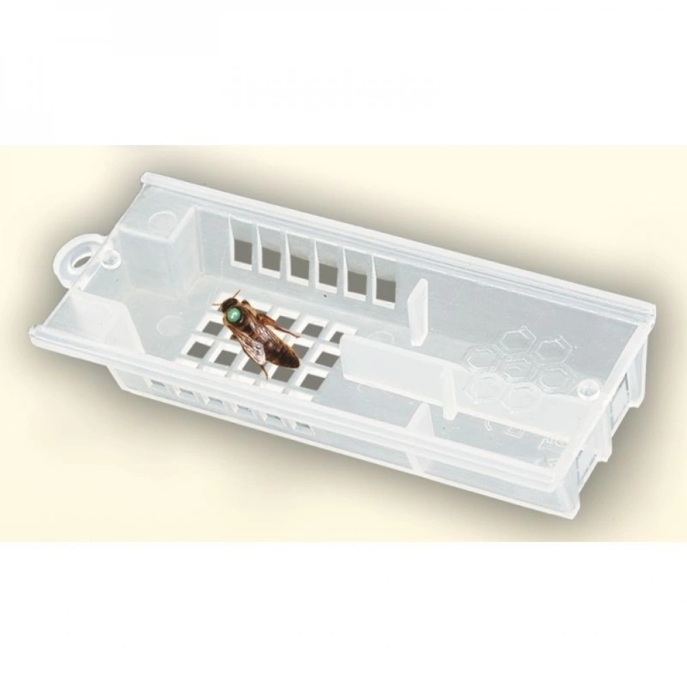 Ana Arı Kafesi - Plastik