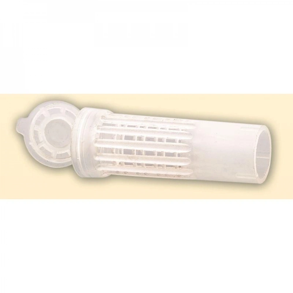 Bigudi Ana Arı Yüksüt Tüpü